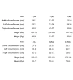 Albert Andre Stocking Knee High Open Toe 14 - 18 mmHg - Image 2